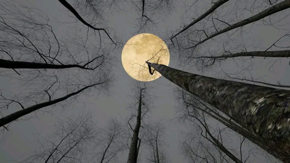 你是我在深渊中仰望的月亮