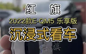 Download Video: 红旗2022款E-QM5 乐享版沉浸式看车！