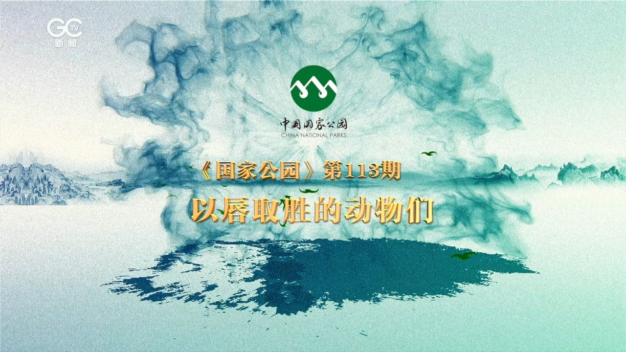 《國家公園》第113期:以唇取勝的動物們