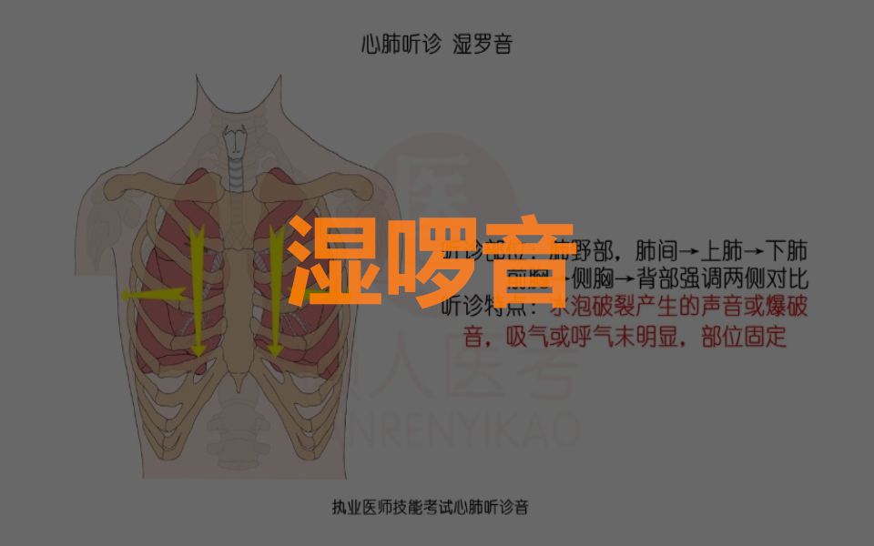 湿性啰音),:系气流通过有稀薄分泌物的支气管时引起液体震动或水泡破裂而产生.哔哩哔哩bilibili