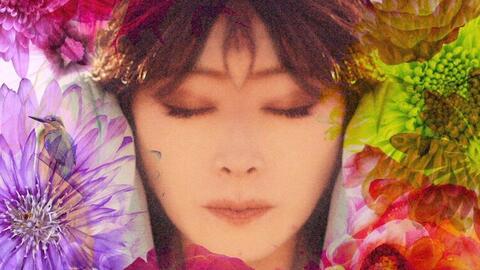 中森明菜 专辑24 Fixer 哔哩哔哩 Bilibili