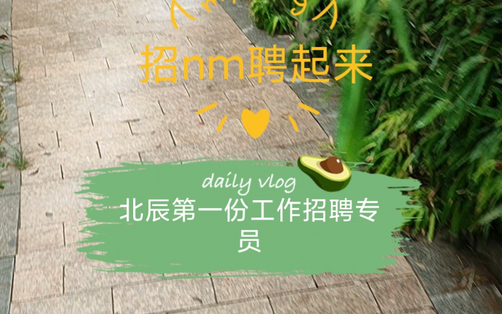 揭秘招聘专员哔哩哔哩bilibili