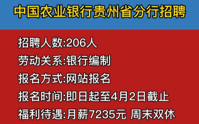 中国农业银行贵州省分行招206人公告 大专学历可报!哔哩哔哩bilibili