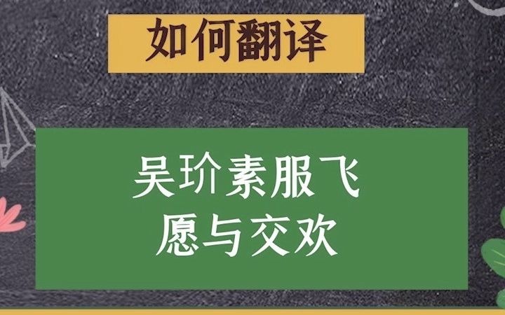 当文言文遇上神翻译 :吴玠素服飞,愿与交欢.哔哩哔哩bilibili