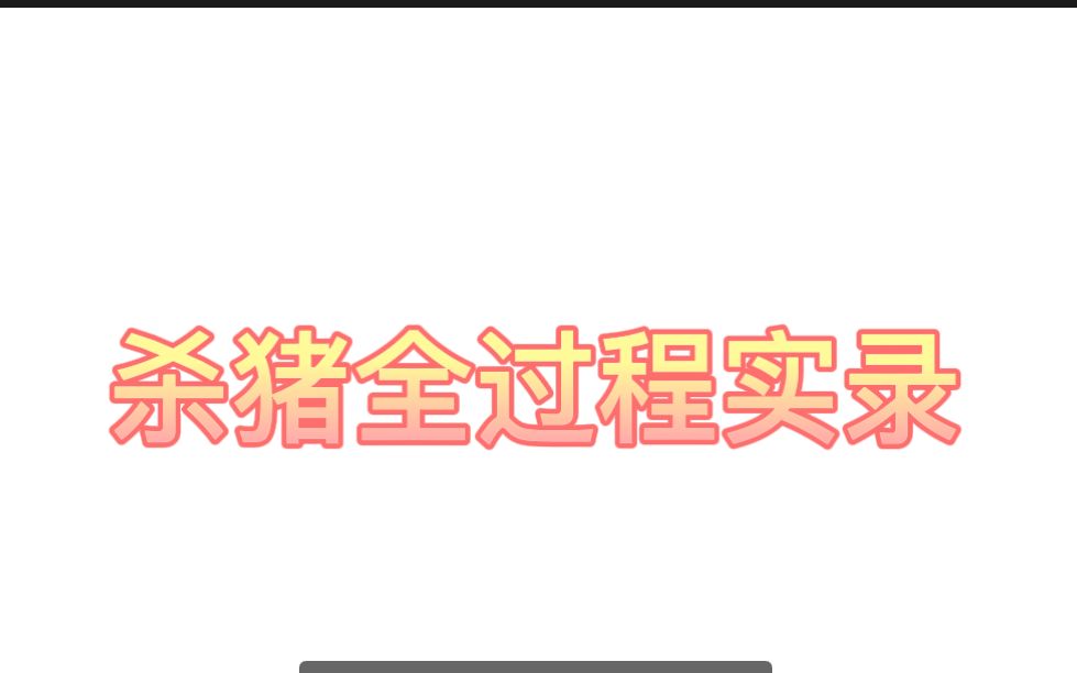 杀猪全过程实录哔哩哔哩bilibili