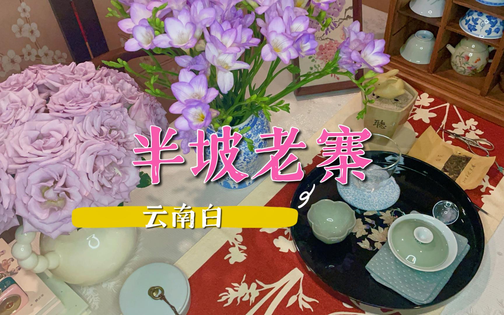 [图]酌饮|晓看红湿处，花重锦官城—今日饮茶：18年云南白茶（茶友yydsヾ(◍°∇°◍)ﾉﾞ）