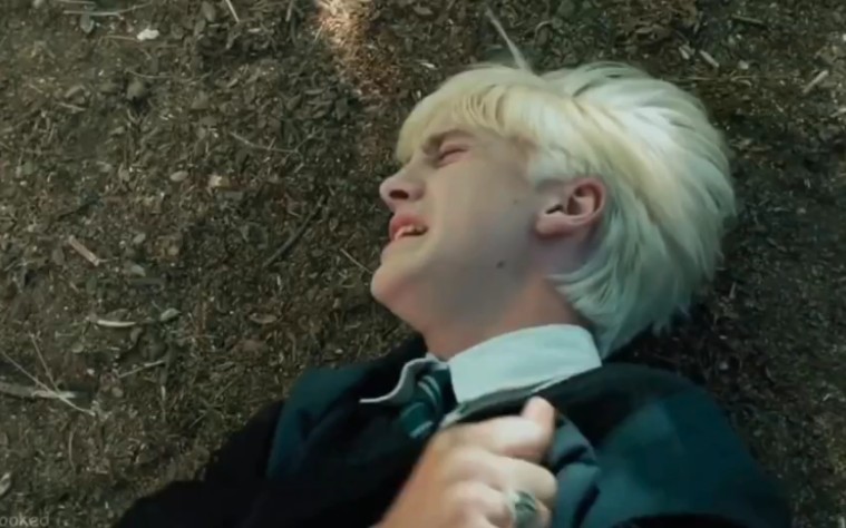 【draco malfoy】[哈利波特] [转载]德拉科·马尔福戏剧性的两分钟!