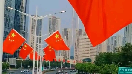 [图]国庆佳节，举国欢庆，大街小巷，国旗飘扬，祖国万岁！