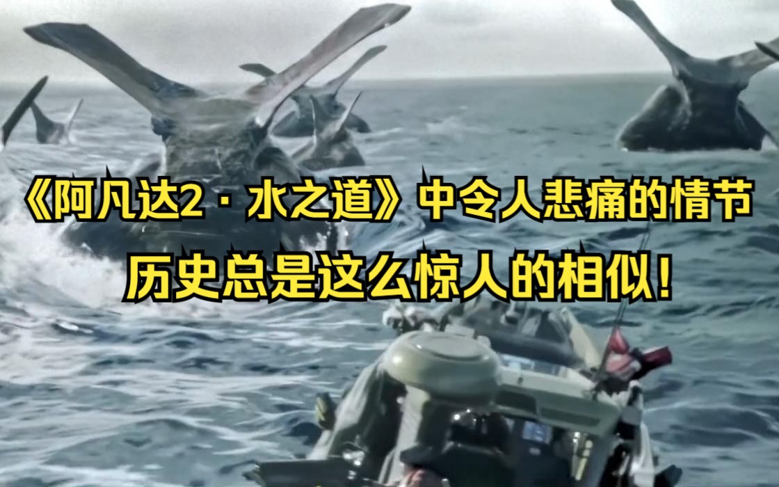《阿凡达2·水之道》中令人悲痛的情节，历史总是这么惊人的相似