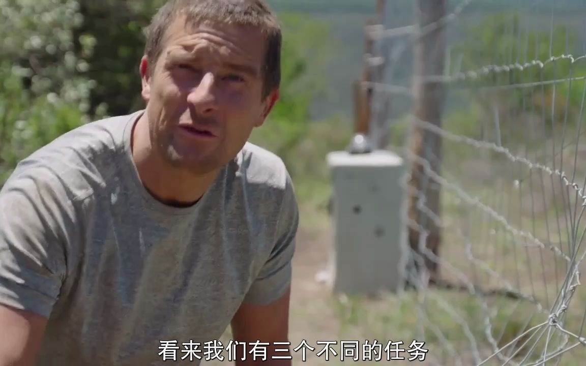 [图]你的荒野求生电影版：出逃的野兽 Animals on the Loose: A You vs. Wild Movie (2021) 中文字幕