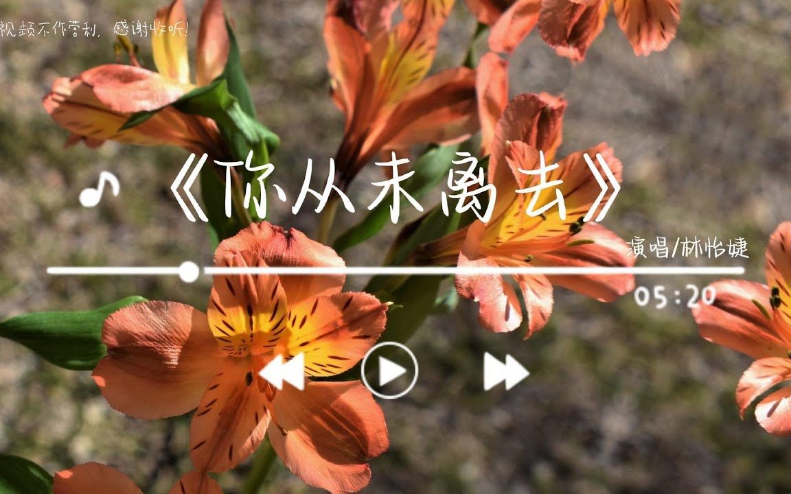 《你从未离去》- 林怡婕「我不再迷茫 思念是唯一的行囊 满天的星光