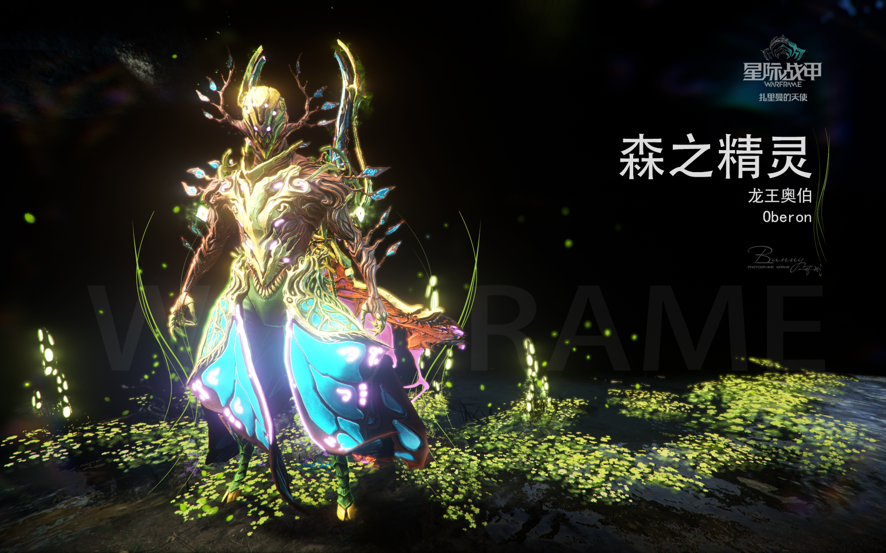 森之精灵oberon龙王奥伯缤纷春日配色