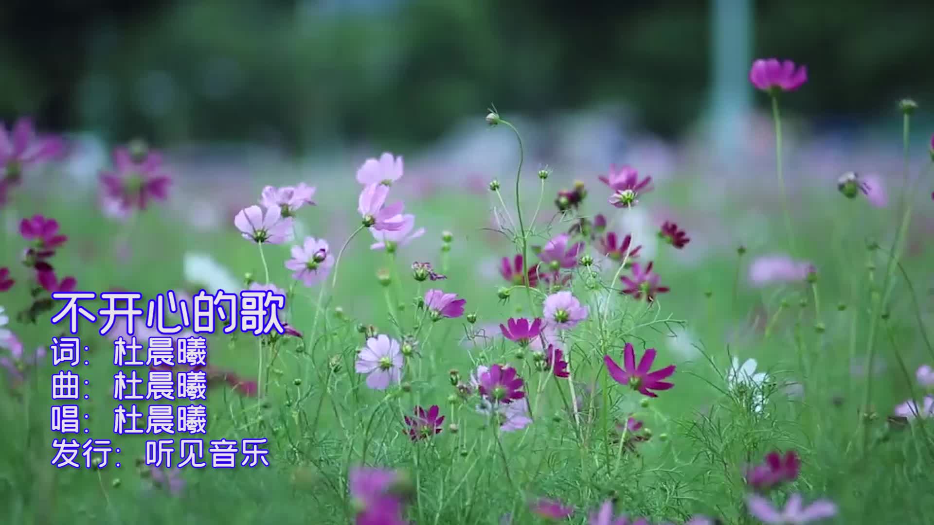 杜晨曦《不开心的歌》mv饭制版哔哩哔哩bilibili