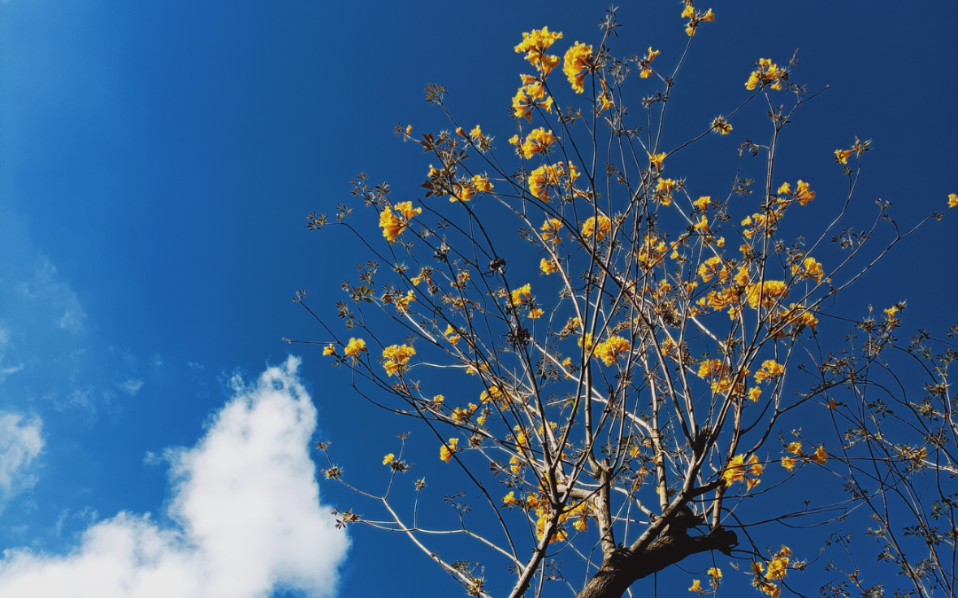 [图]夏 狂热