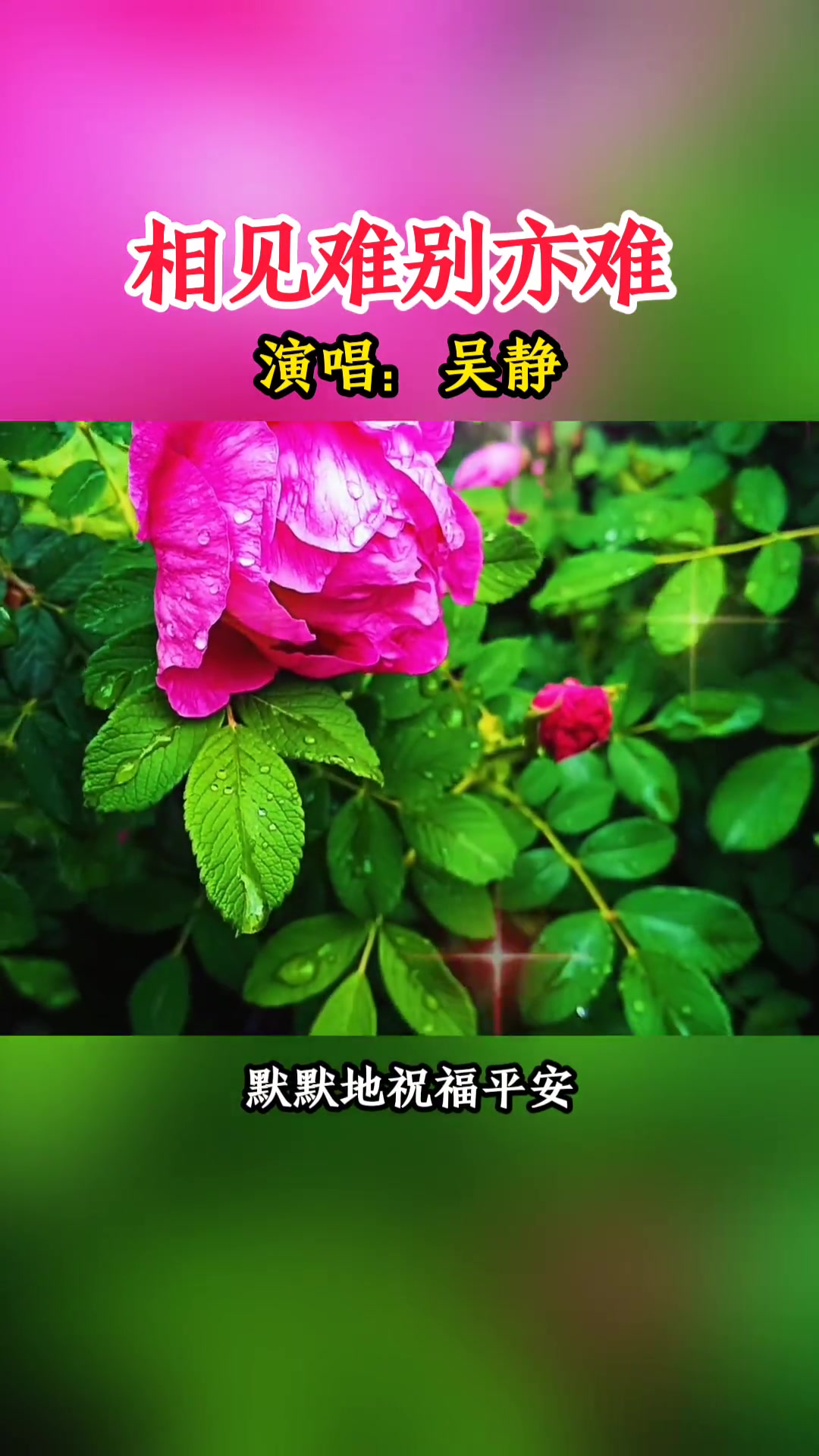 音乐相见难别亦难经典老歌怀旧金曲抖音热歌抖音小助手