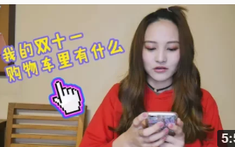 1111淘宝双十一 | 我的购物车里有什麽?哔哩哔哩bilibili