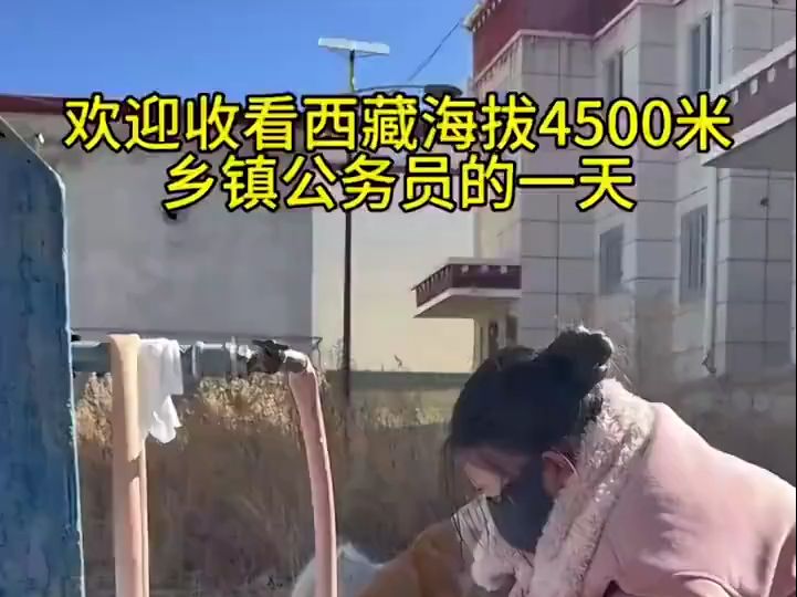 在西藏海拔4500米上班当公务员是种什么体验?哔哩哔哩bilibili