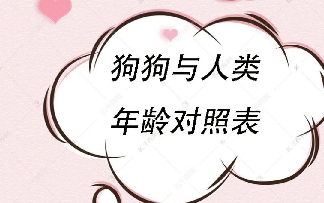 狗狗与人类年龄对照表哔哩哔哩bilibili