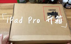 Download Video: Unboxing | 很多东西都是假的 只有我的iPad pro 256G 才是真的