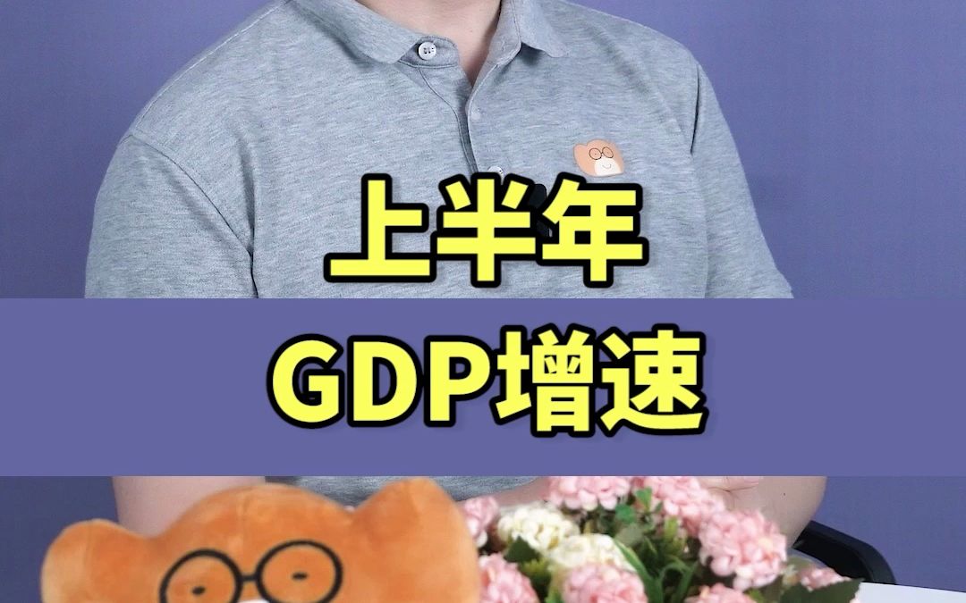 上半年GDP增速改哔哩哔哩bilibili