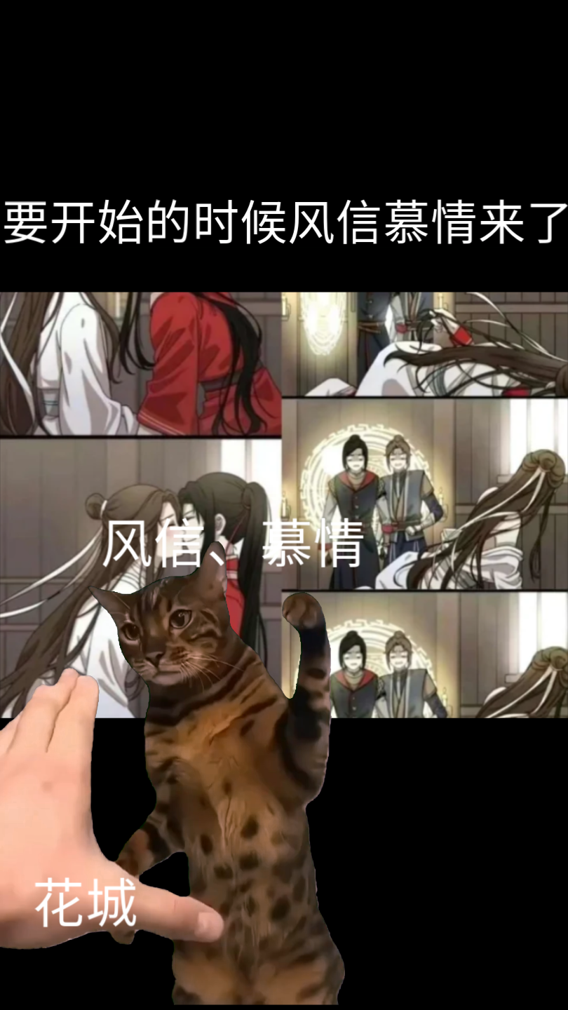 [天官赐福]ooc致歉,谢怜,花城,风信,慕情