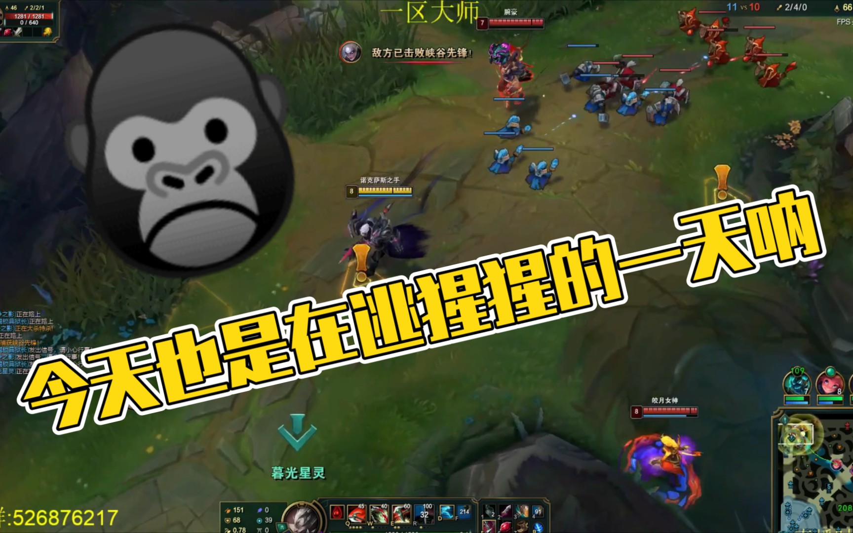 猩猩诺手:今天也是在逃猩猩的一天呐