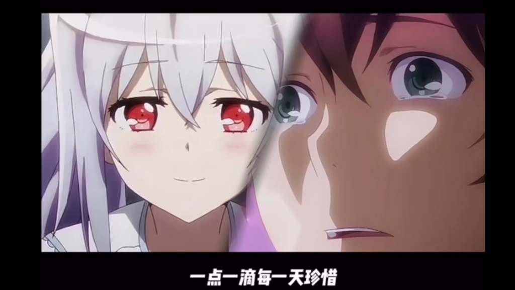 艾拉与水柿司的爱情不仅是我们感到遗憾的,也是我们所拥有的.