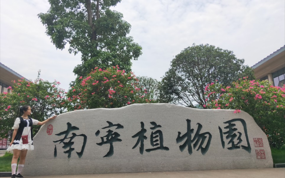 活动作品带你去南宁青秀山东门