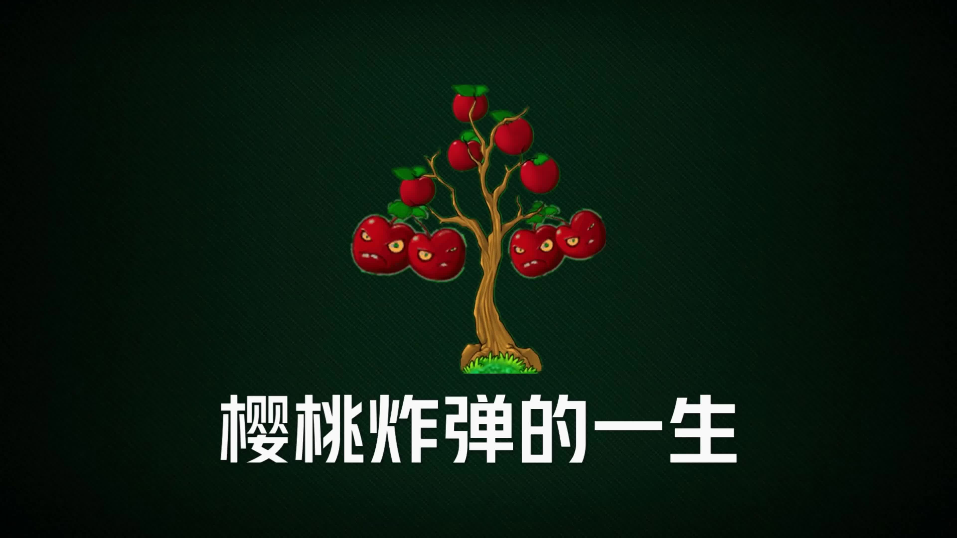 植物大战僵尸:樱桃炸弹的一生,是戴夫从树上摘的(1)