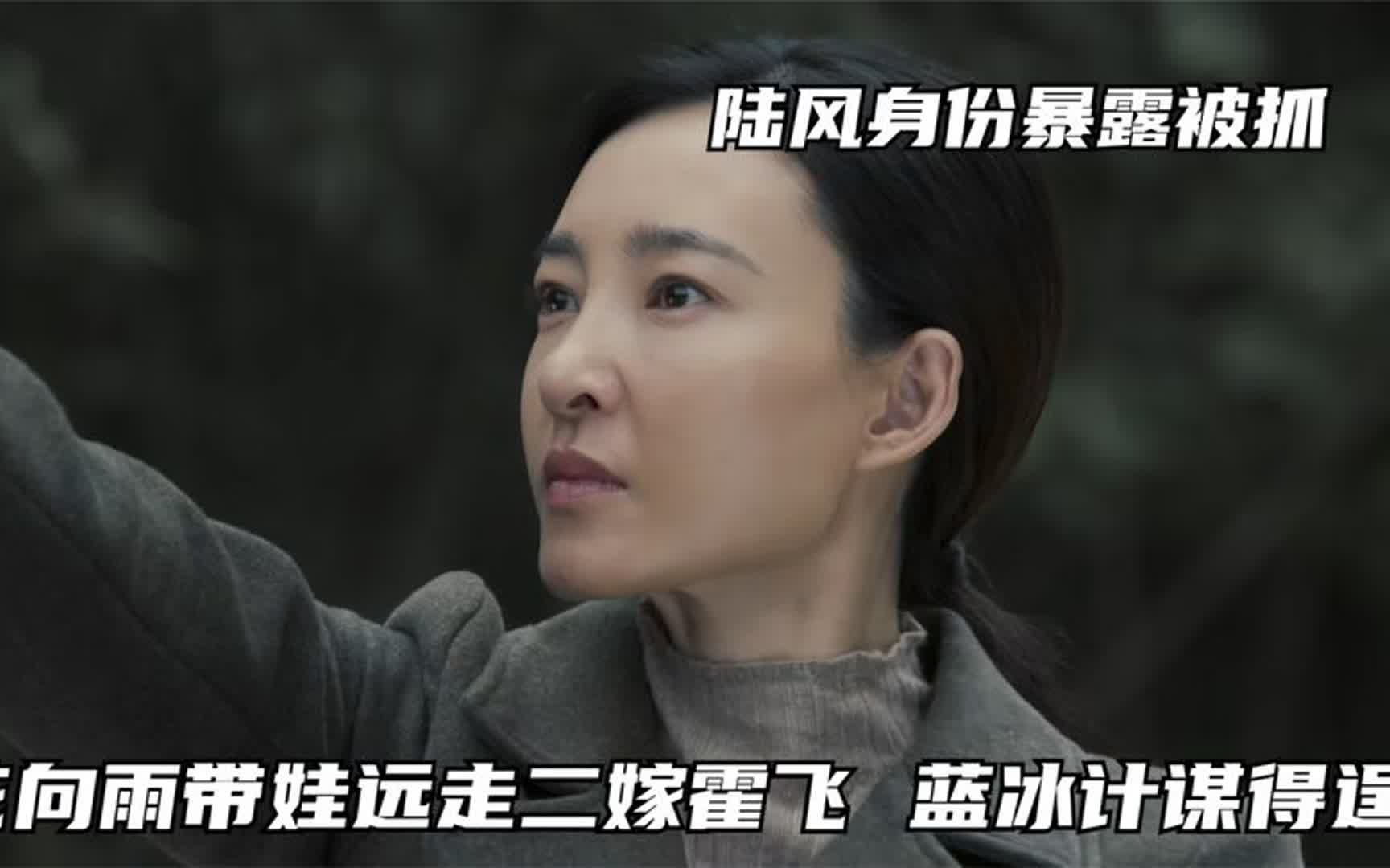 无间:陆风身份暴露被抓,花向雨带娃远走二嫁霍飞,蓝冰计谋得逞