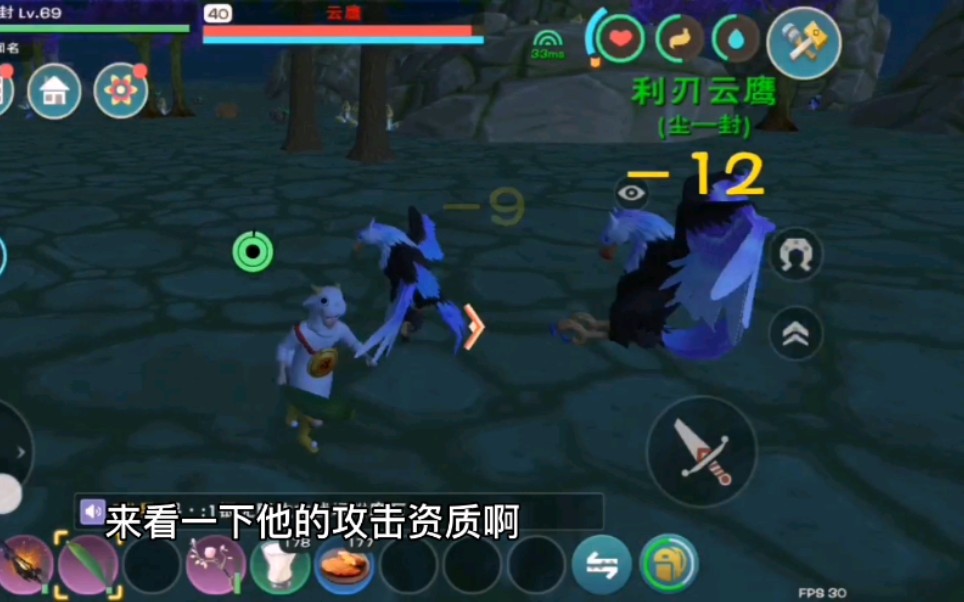 创魔第97期今天来天空岛捉一只利刃云鹰