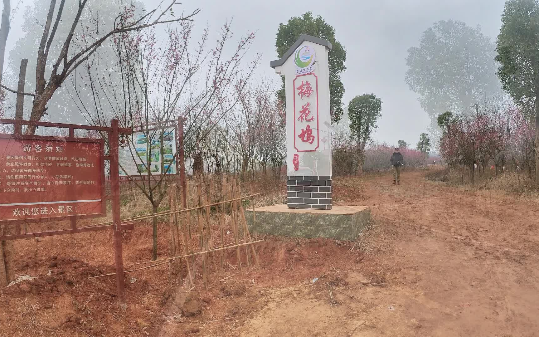 魅力花海～大桥村梅花坞(鄂州)