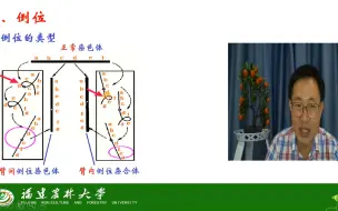 Tải video: 染色体变异-染色体结构变异-倒位-茶创2021级