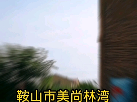 鞍山市除甲醛哔哩哔哩bilibili