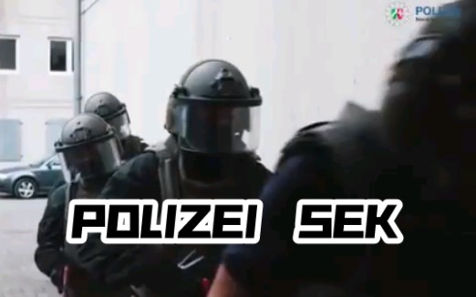 【POLIZEI】德国北威特警SEK教你如何CQBKommissar Danger bei der Polizei NRW SEK哔哩哔哩bilibili