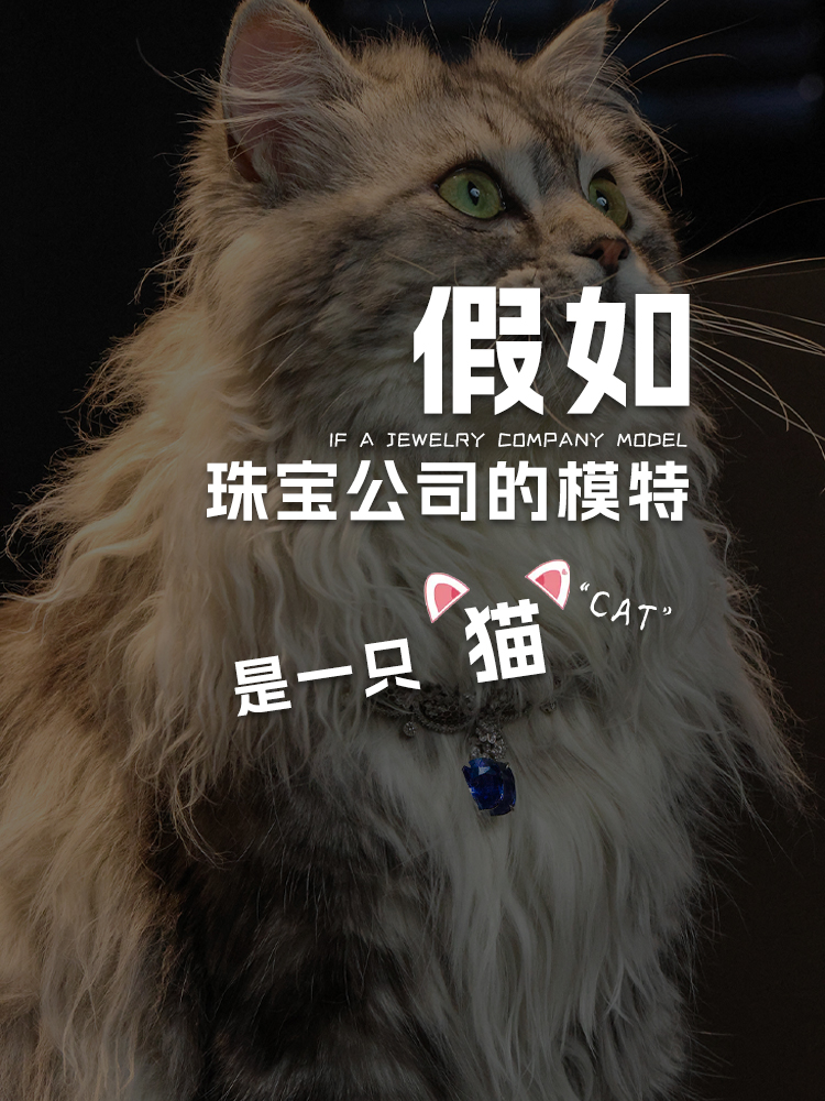 有趣的珠宝日常:当珠宝公司的模特是只猫!哔哩哔哩bilibili