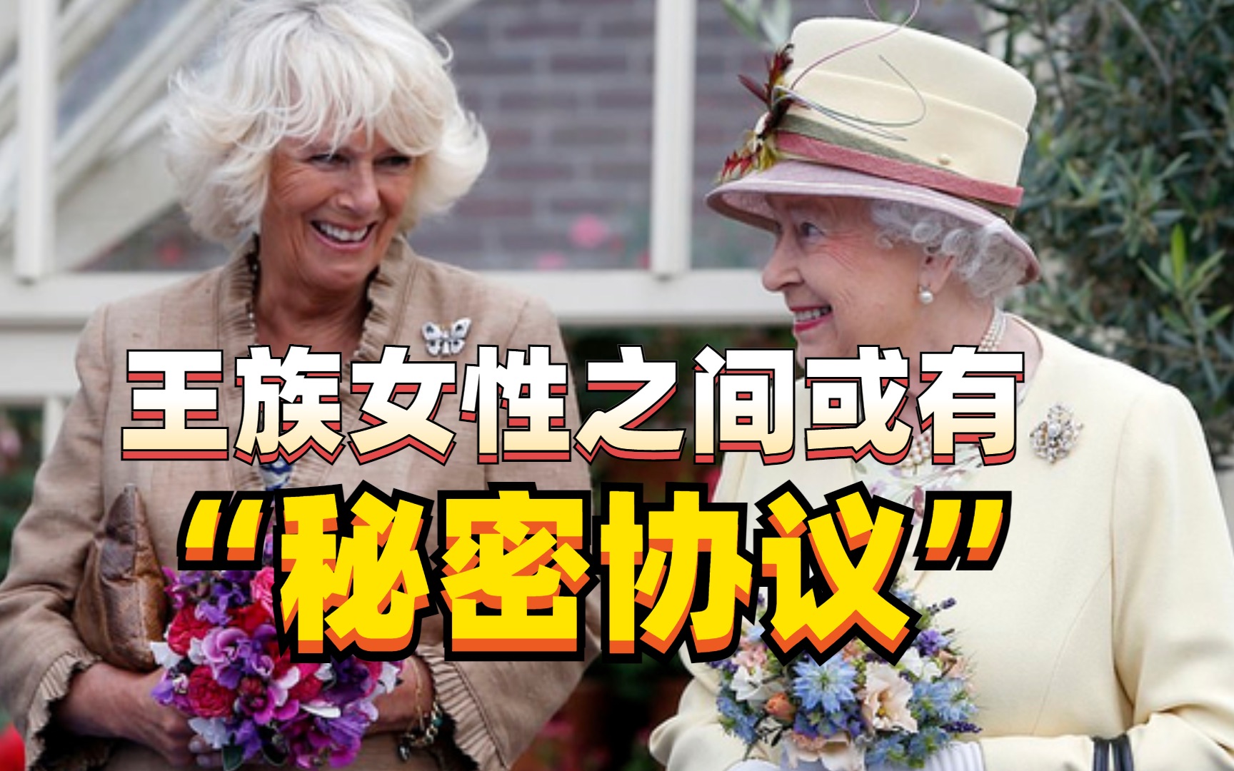 [图]挤走戴安娜小三官宣上位！被曝继承王位与英女王有“秘密协议”？