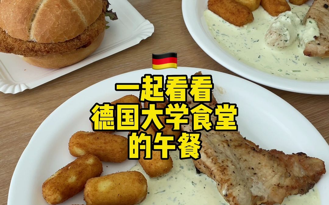 一起看看德国大学食堂的午餐!城市味蕾的沉淀:双份烤火鸡搭配法兰克福绿酱、凯撒面包夹炸猪排,看帅小伙狂炫三盘哔哩哔哩bilibili