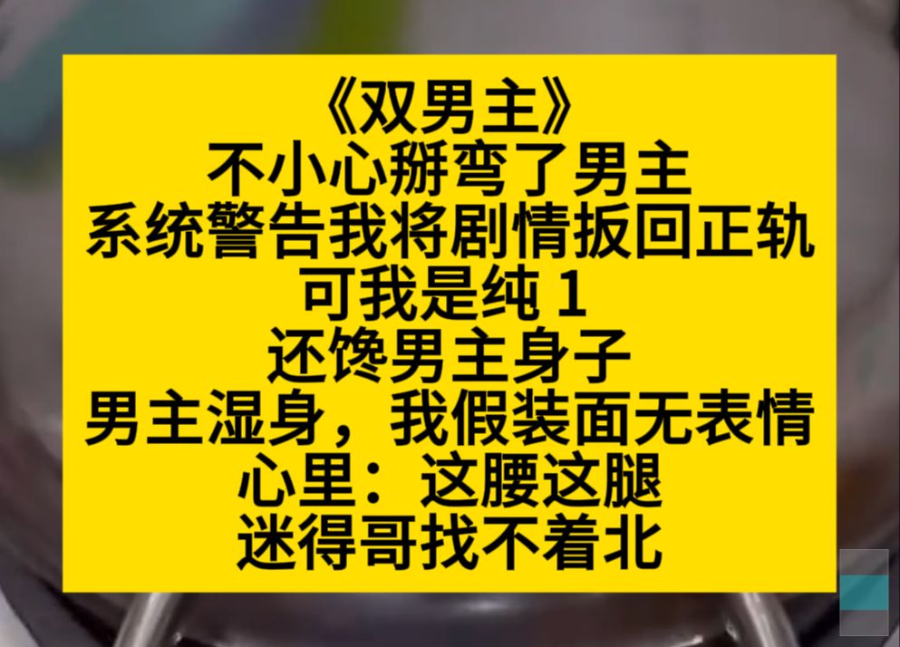 双男主 不小心百万了男主,系统警告我将剧情拜会正轨,可我是纯一,而且馋男主身子……小说推荐哔哩哔哩bilibili