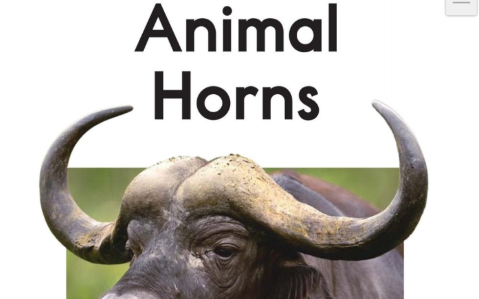 活动作品每日英语绘本阅读razdanimalhorns