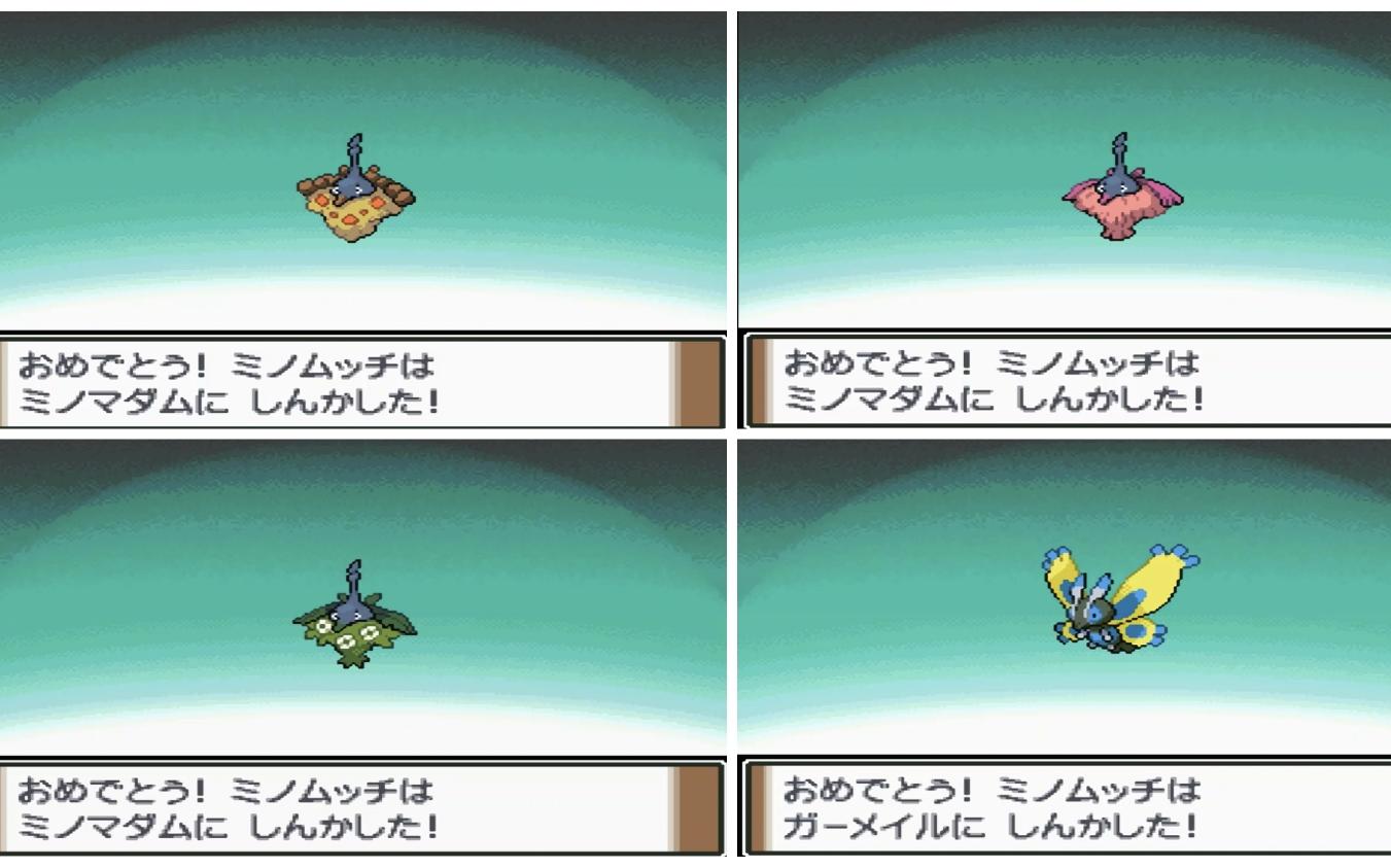 【白金】闪光结草儿同步进化!