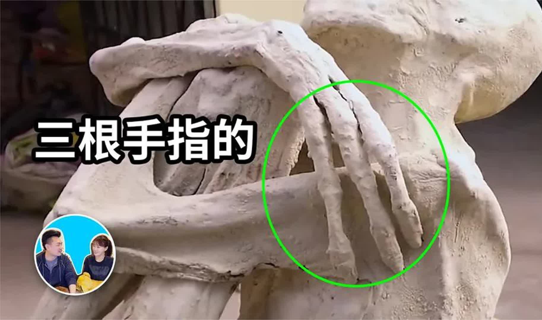 外星人木乃伊?【搬运 · 老高与小茉 · mr & mrs gao