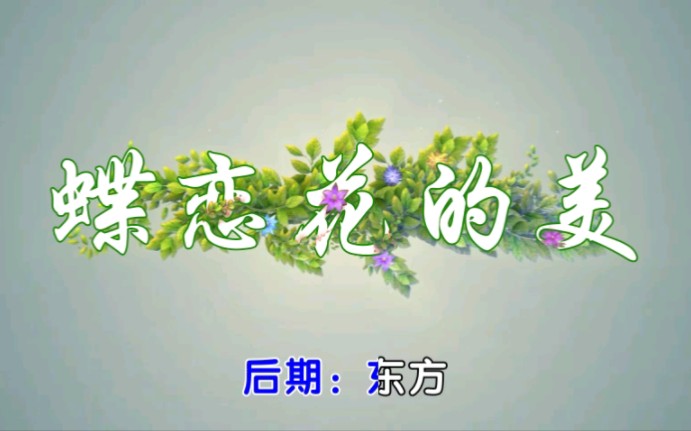 [图]蝶恋花的美