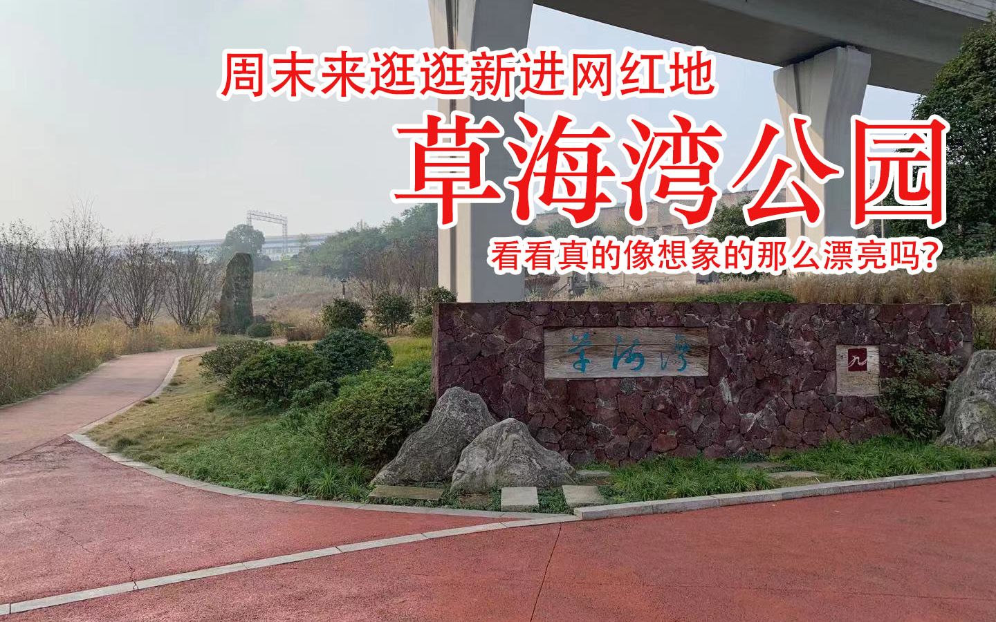 周末游玩重庆九龙坡华岩草海湾公园,看看那里芦苇荡漂不漂亮好不好看?