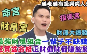 Download Video: 【紫微】最強財星組合一輩子不缺錢！聚寶盆命格正財偏財都賺飽！晚年有房越老越有錢爽爽人生！