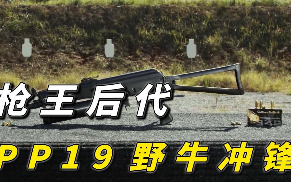 两大枪王后代的混血儿,pp19野牛冲锋枪