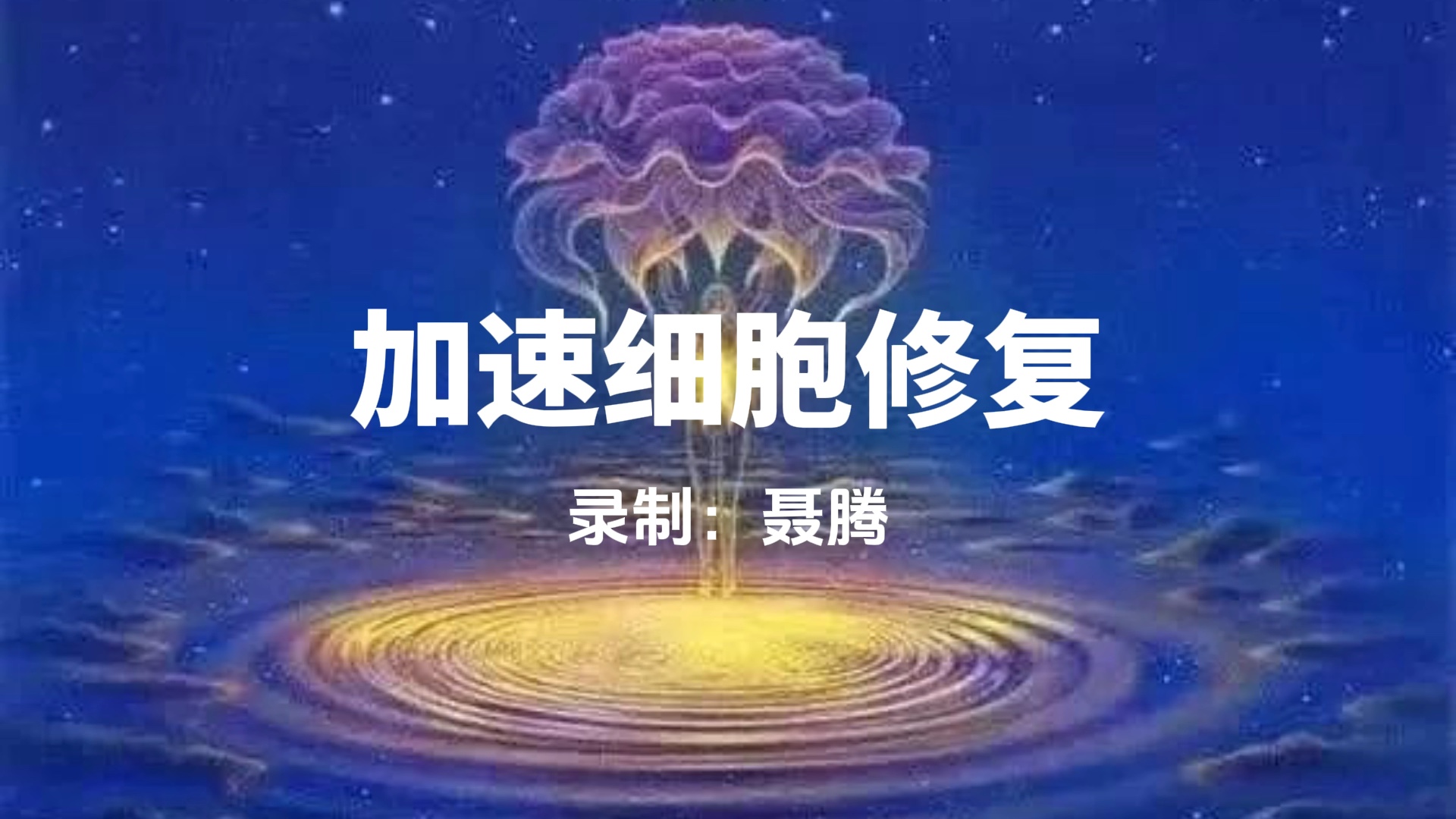 加速细胞修复催眠音频Omni催眠培训师聂腾催眠大师催眠冥想引导音频视频