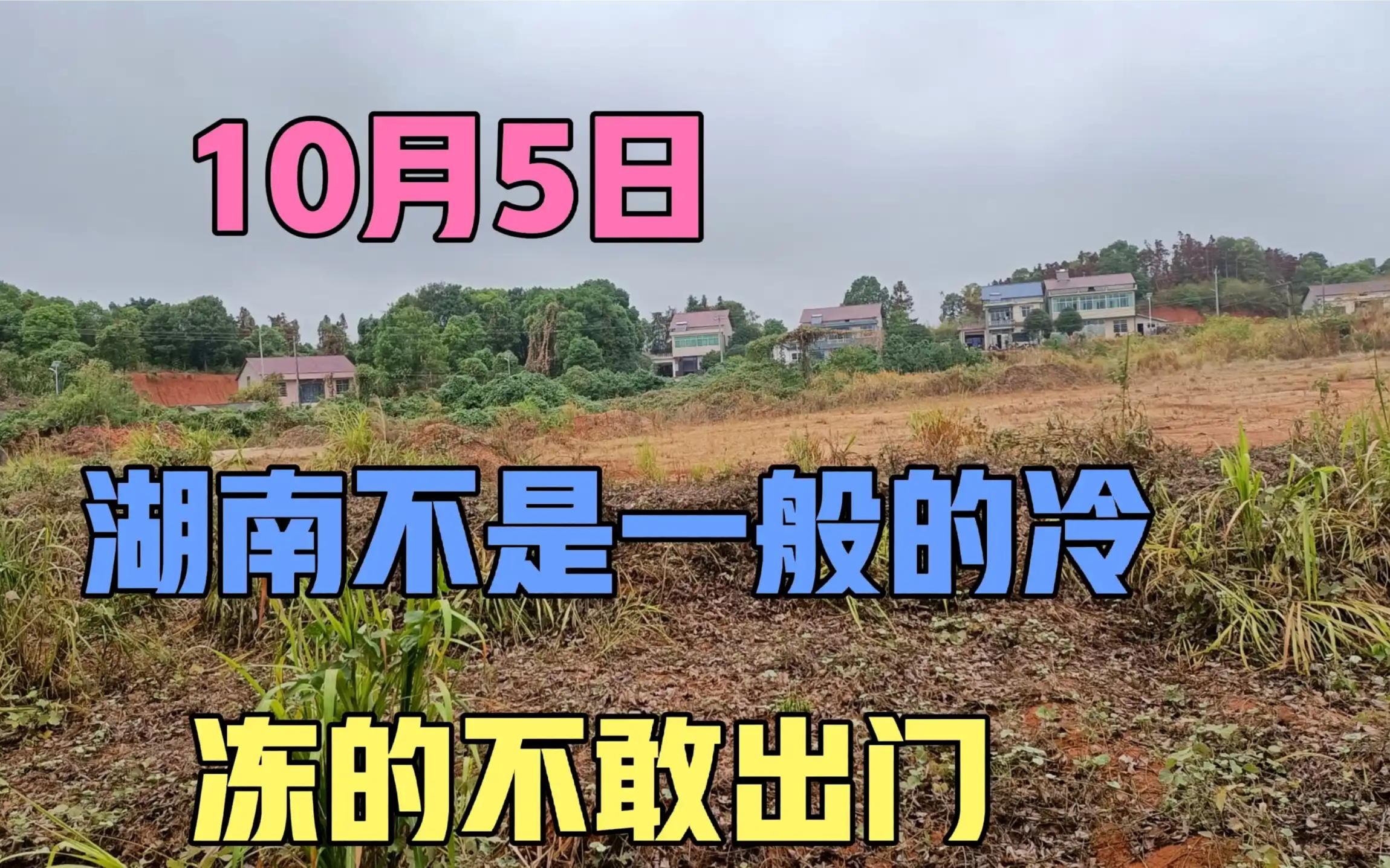 [图]10月5日湖南不是一般的冷，冻的无人敢出门，看看农村真实场景