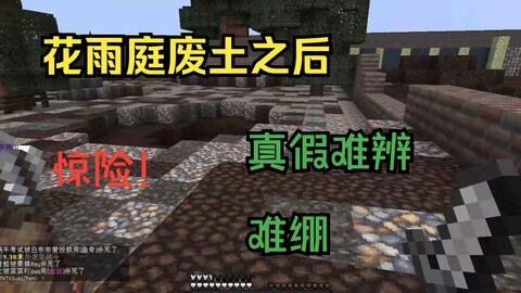 花雨庭废土 真假难辨 哔哩哔哩 Bilibili