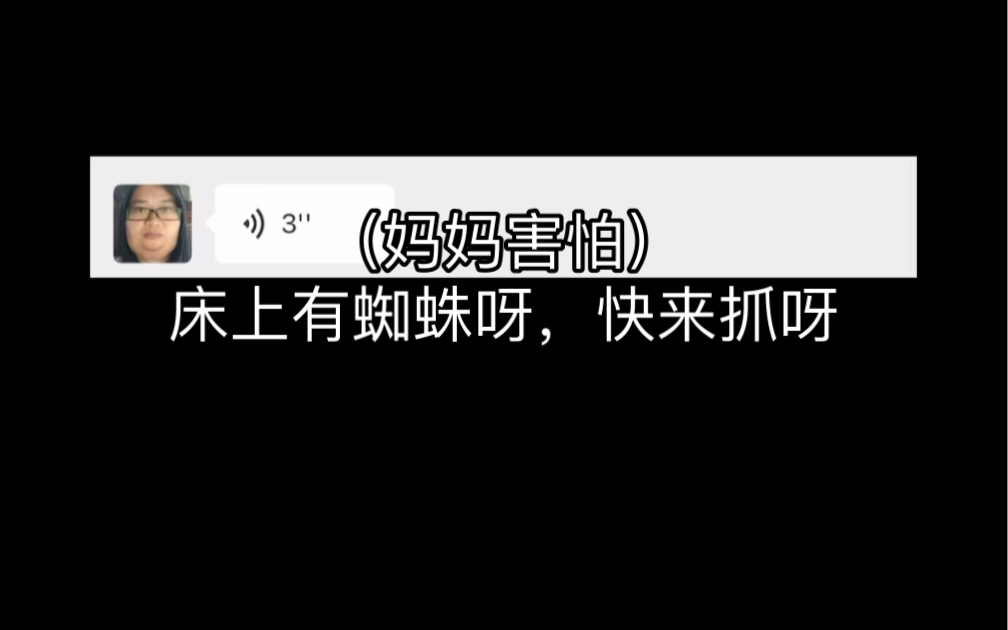 《厉害的爸爸》哔哩哔哩bilibili